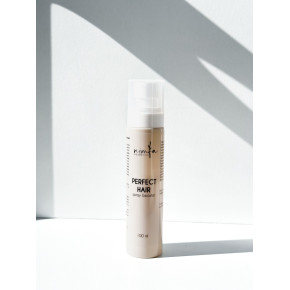 Незмивний спрей-бустер Perfect Hair Spray-Booster